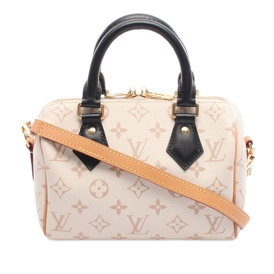 Louis Vuitton Speedy 20 Brown Monogram Dune Canvas