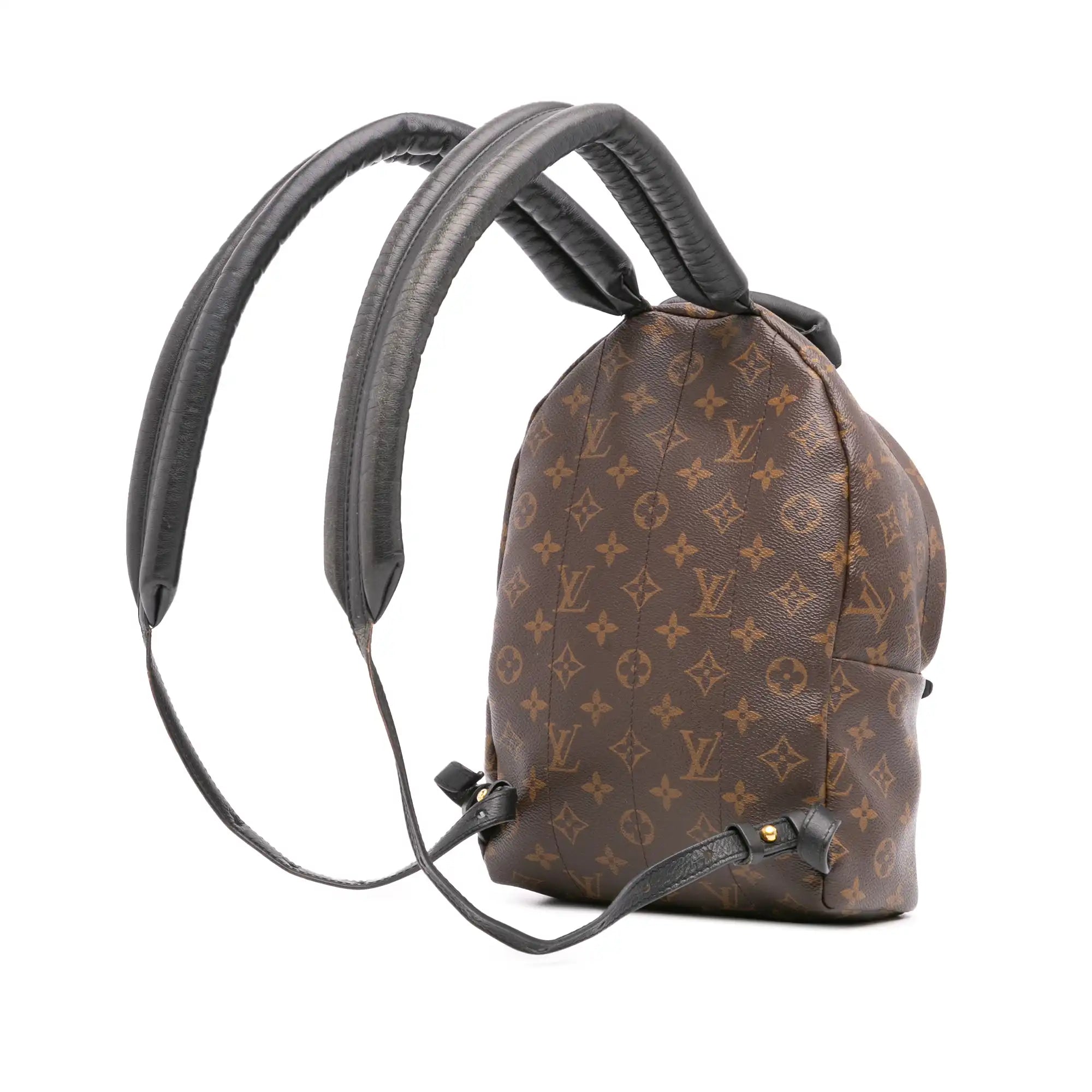 Louis Vuitton Palm Springs Backpack PM Monogram Reverse