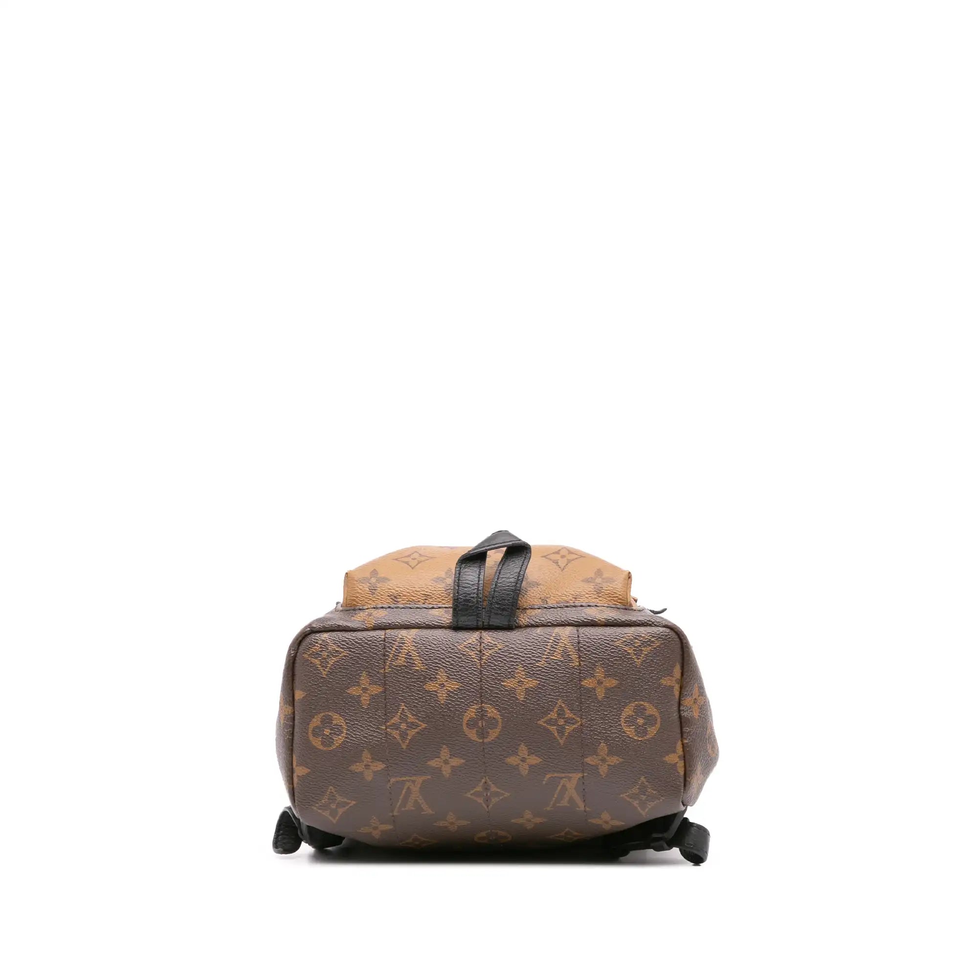 Louis Vuitton Palm Springs Backpack PM Monogram Reverse