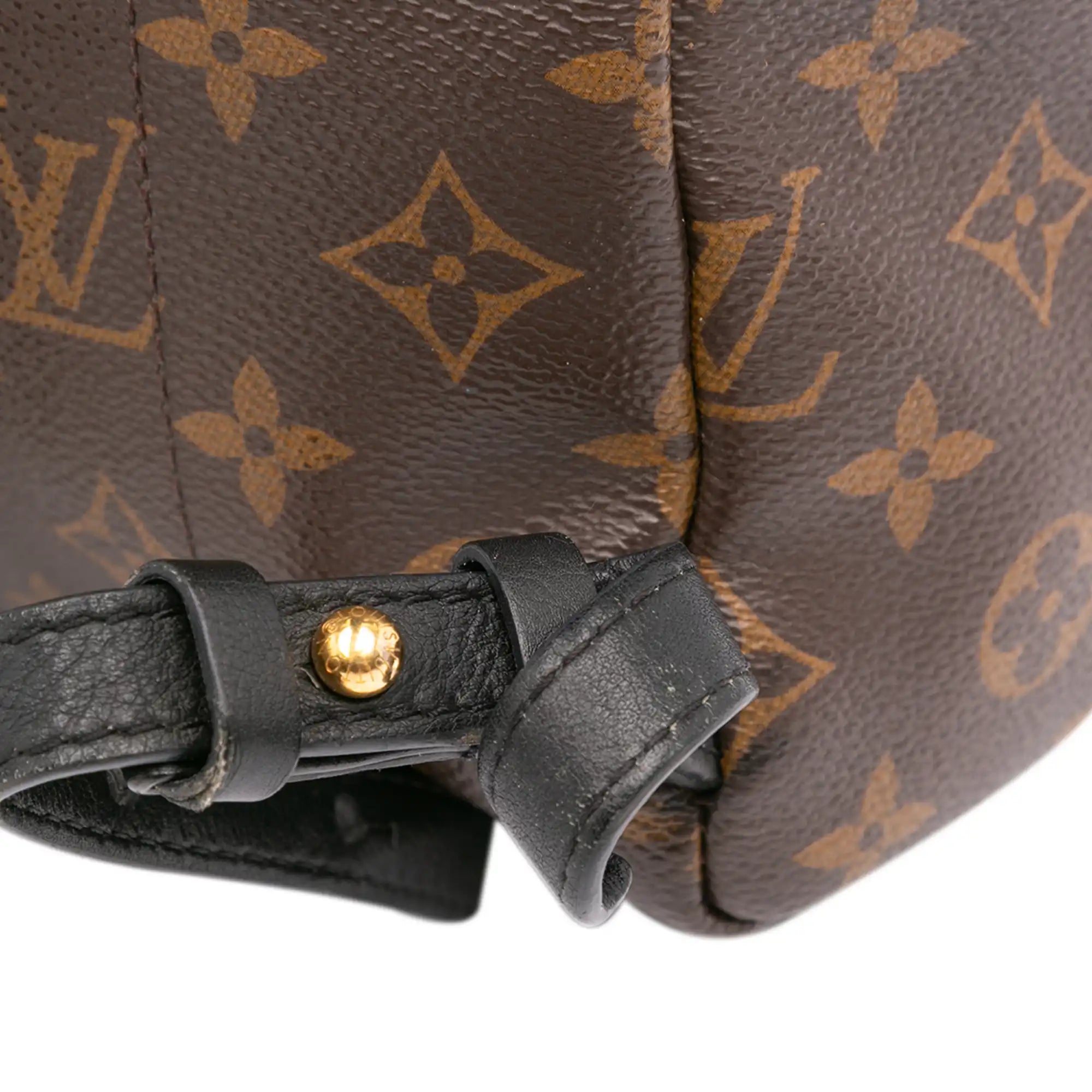 Louis Vuitton Palm Springs Backpack PM Monogram Reverse