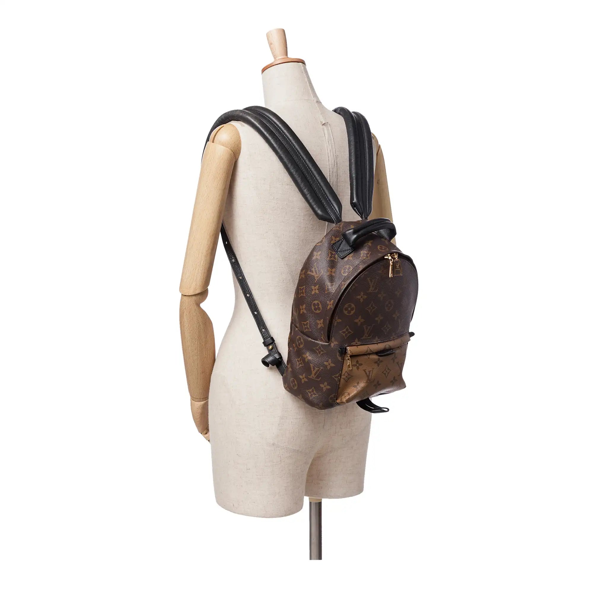 Louis Vuitton Palm Springs Backpack PM Monogram Reverse