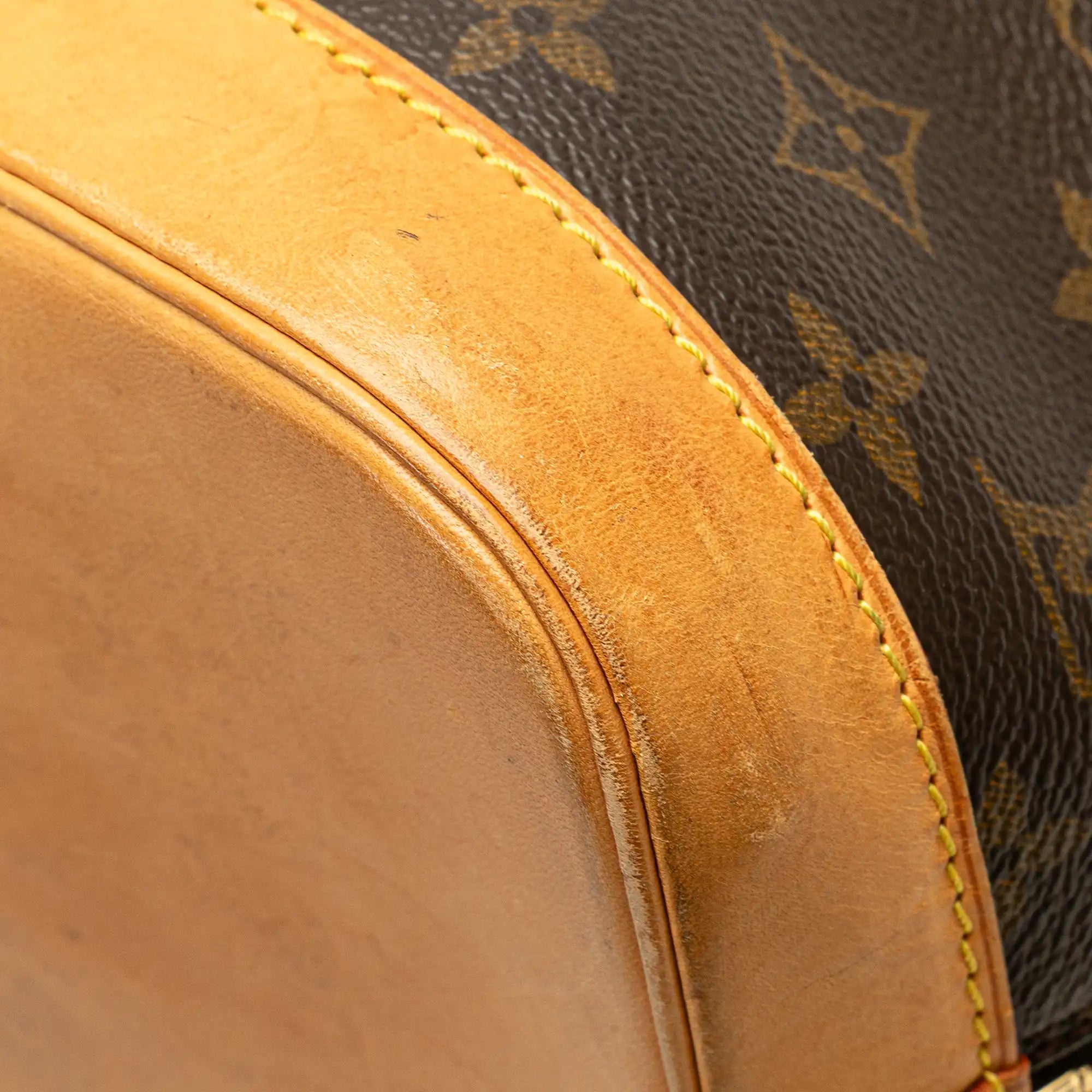 Louis Vuitton Alma PM Monogram Canvas