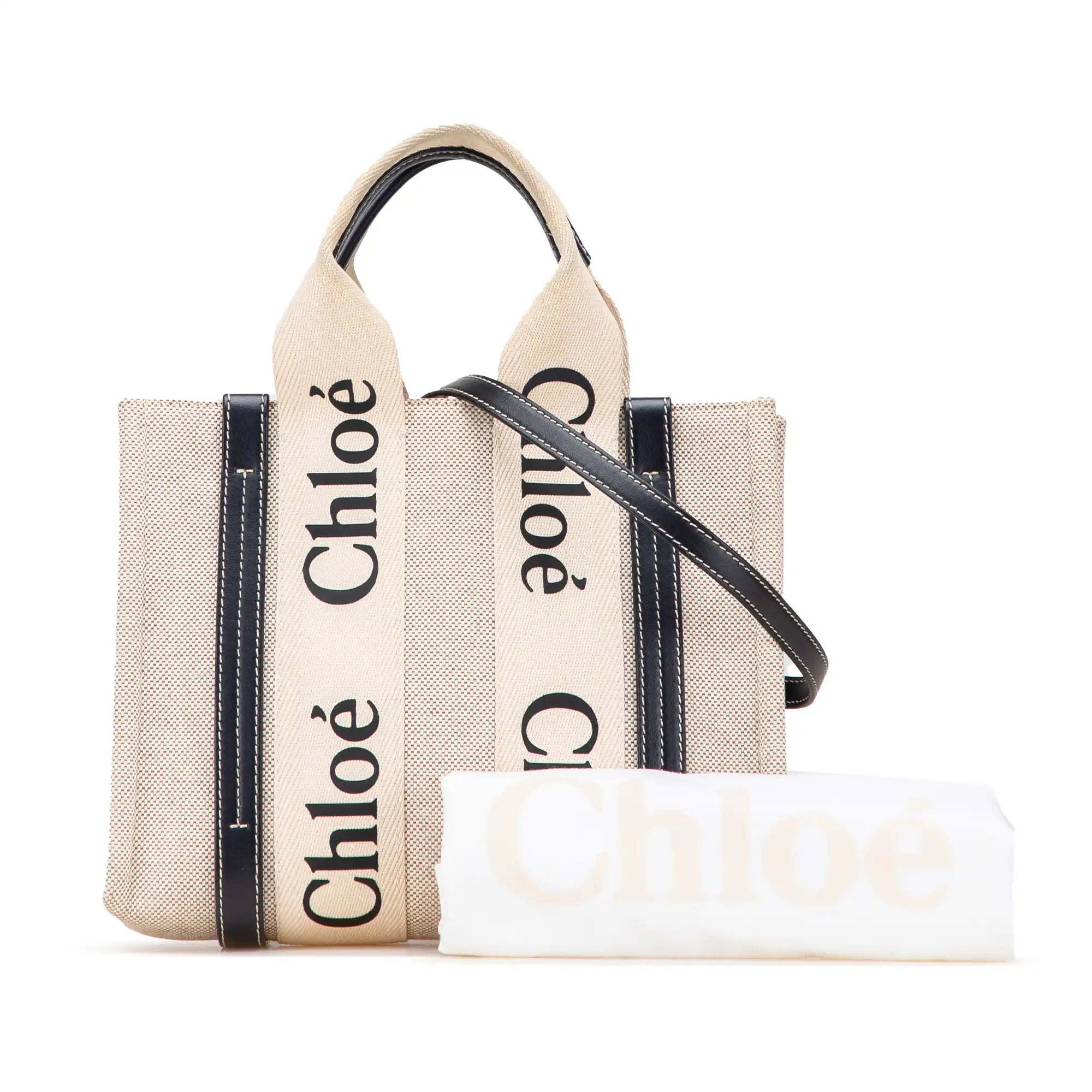 Chloé Woody Small Beige Canvas