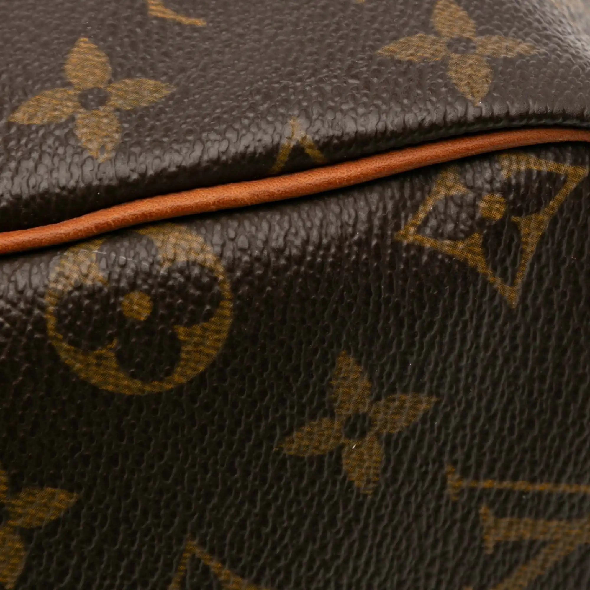 Louis Vuitton Speedy 30 Monogram Canvas
