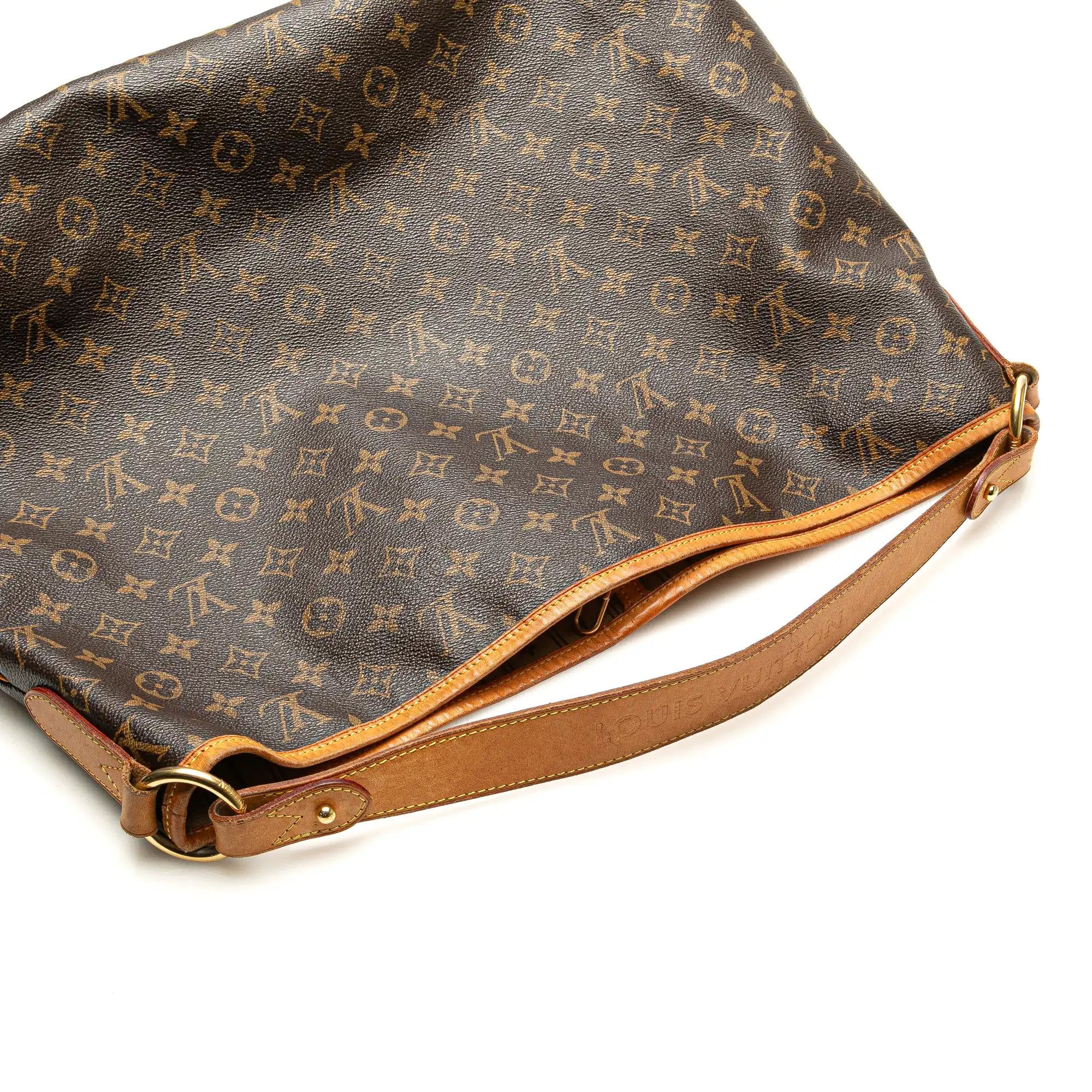 Louis Vuitton Delightful GM Monogram Canvas