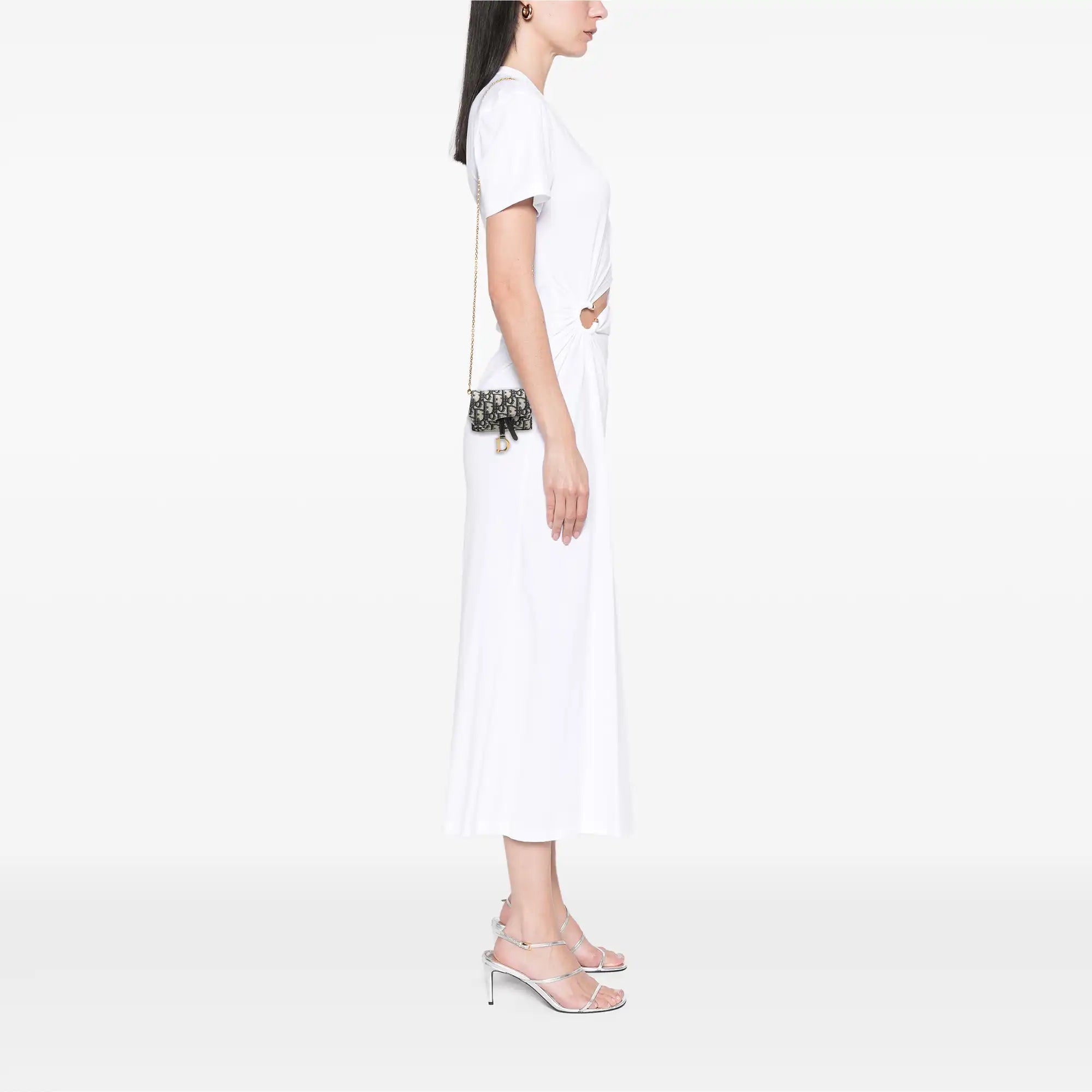 Dior Saddle Chain Pouch Nano Oblique Canvas