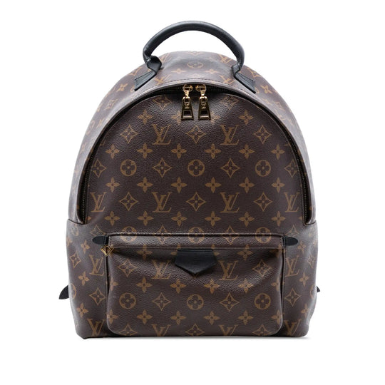 Louis Vuitton Palm Springs Backpack MM Monogram Canvas