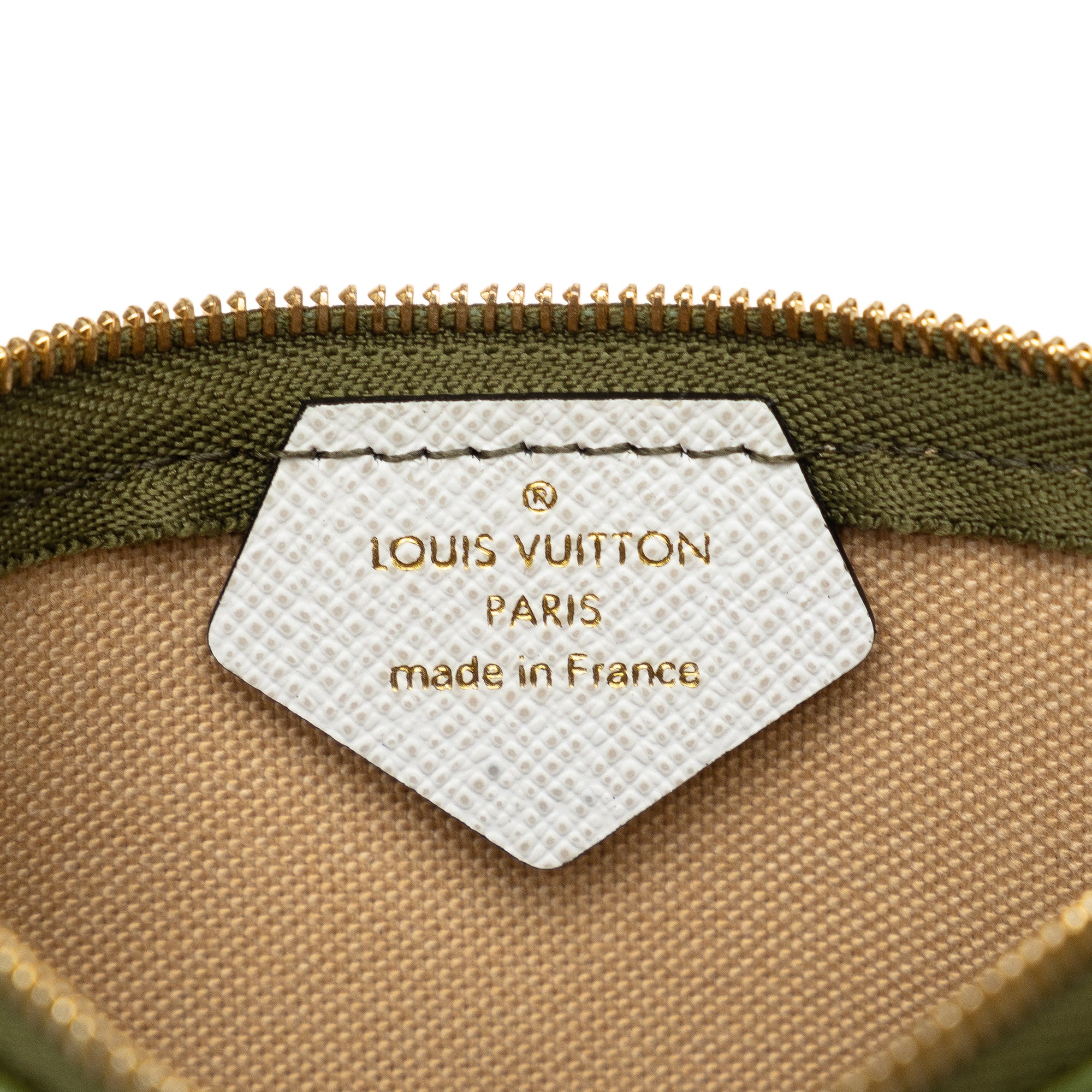 Louis Vuitton Micro Pochette Accessoires Green/Beige Monogram Giant