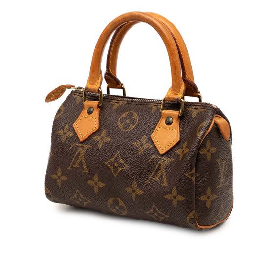 Louis Vuitton Speedy Nano Monogram Canvas