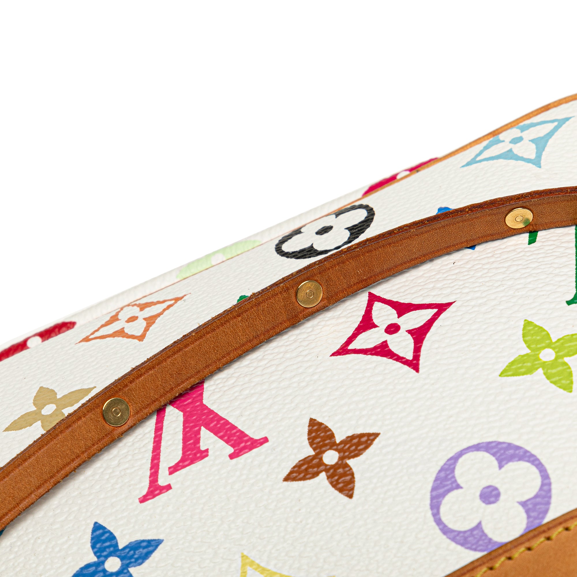 Louis Vuitton Pochette Accessoires Multicolor Monogram Canvas