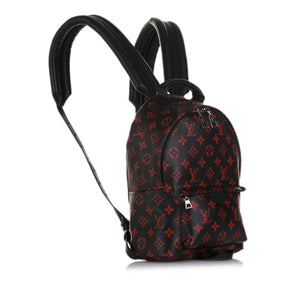 Louis Vuitton Palm Springs PM Backpack in Monogram Canvas