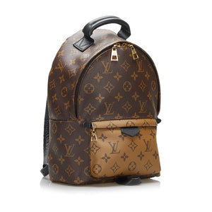 Louis Vuitton Monogram Reverse Mini Palm Springs Backpack 